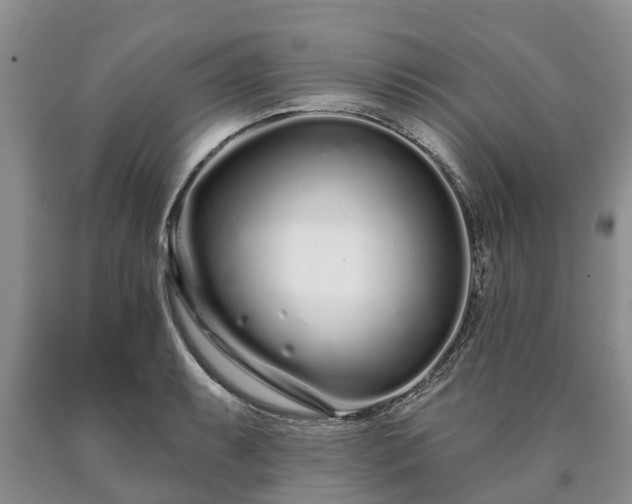 X0000090611087200707241101