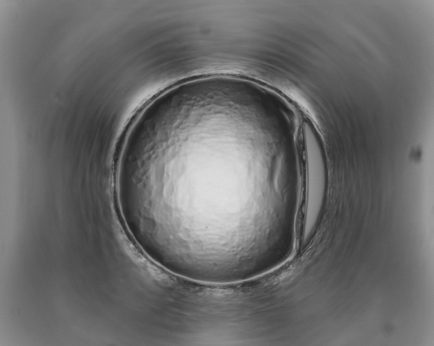 X0000090611088200707241101