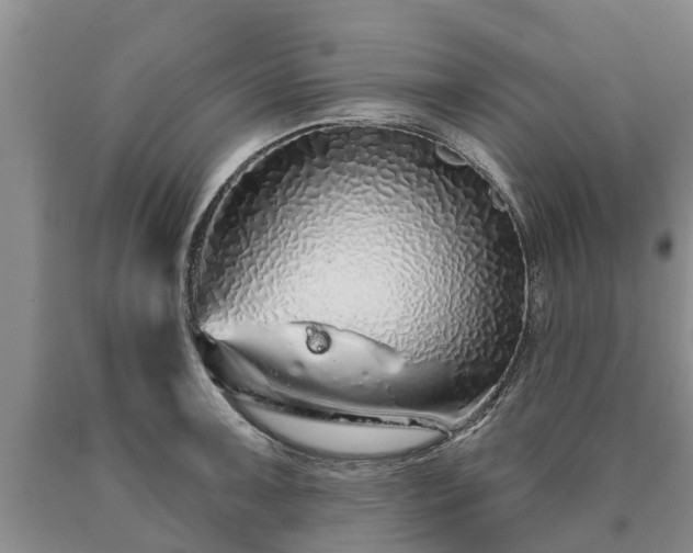 X0000090611091200707241101