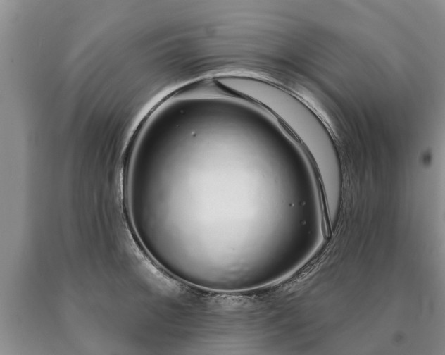 X0000090611092200707241101