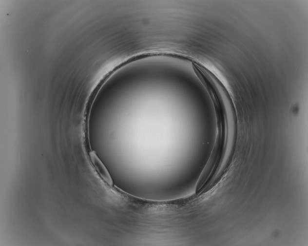 X0000090611093200707241101