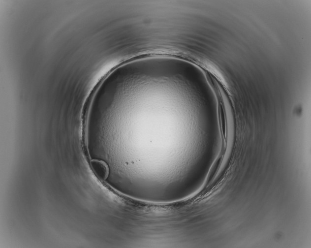 X0000090611095200707241101