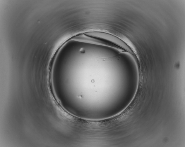 X0000090611096200707241101