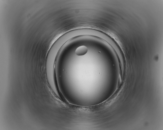 X0000090611097200707241101