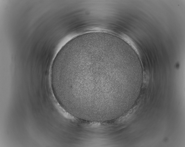 X0000090611098200707241101