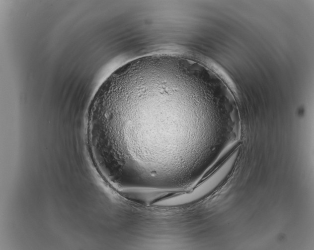 X0000090611099200707241101