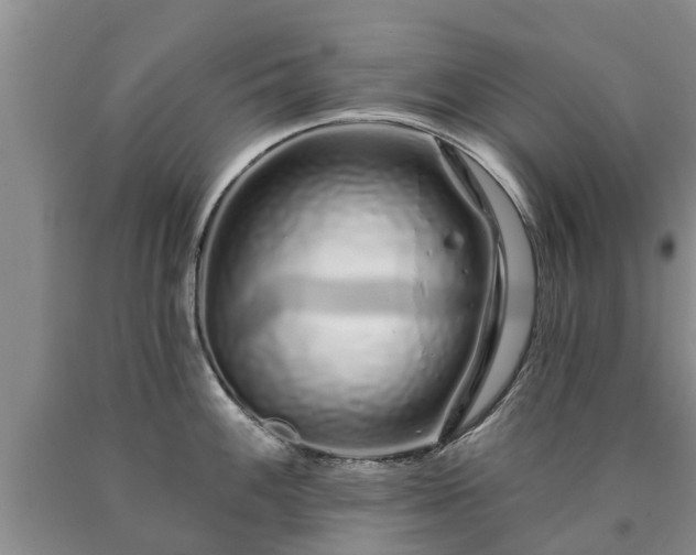 X0000090611100200707241101