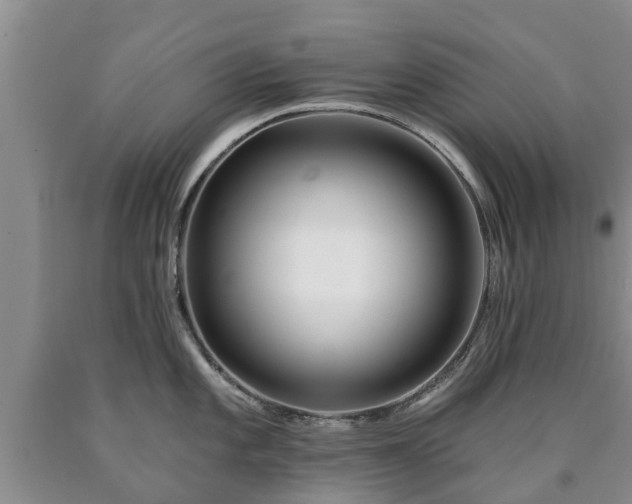 X0000090611101200707241101