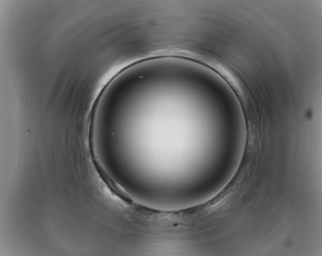 X0000090611102200707241101