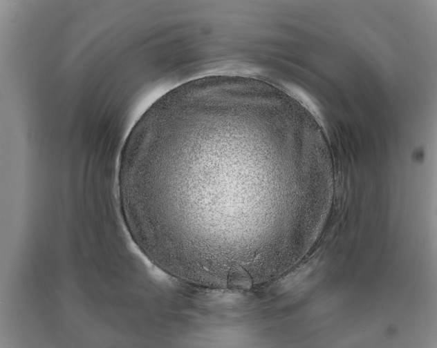 X0000090611103200707241101