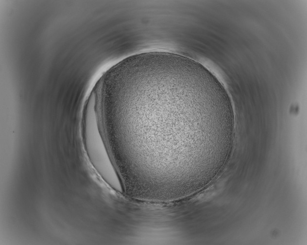 X0000090611104200707241101