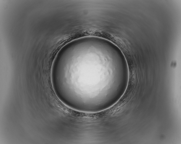 X0000090611105200707241100