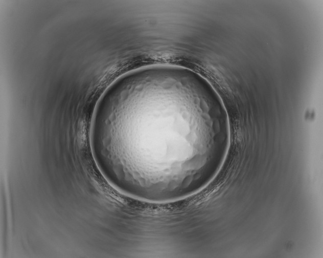 X0000090611106200707241100