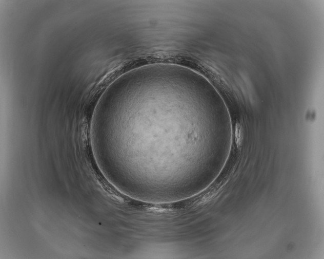 X0000090611107200707241100