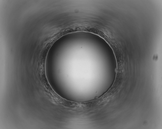 X0000090611109200707241100