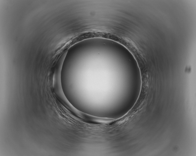 X0000090611110200707241100