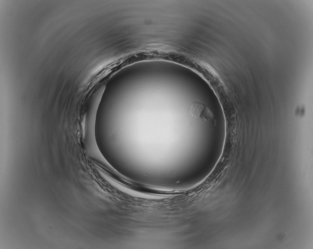 X0000090611112200707241100