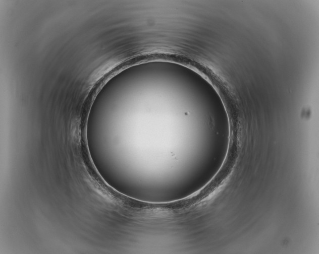 X0000090611113200707241100