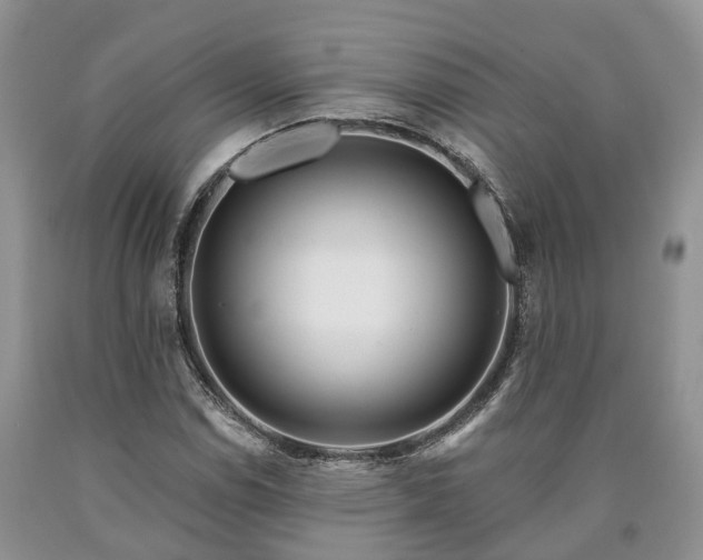 X0000090611114200707241100