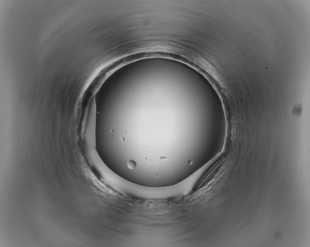 X0000090611116200707241100