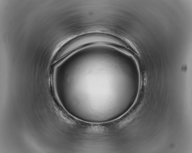 X0000090611117200707241100