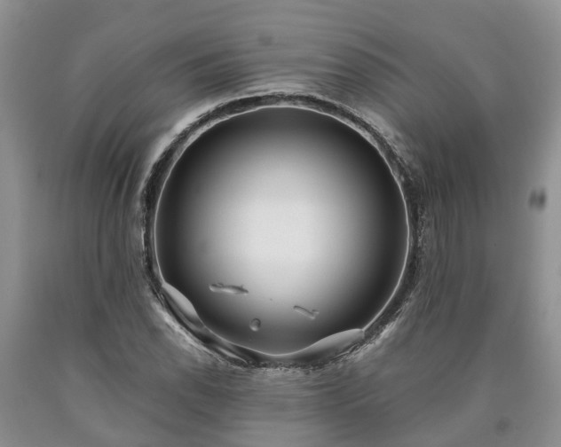 X0000090611118200707241100