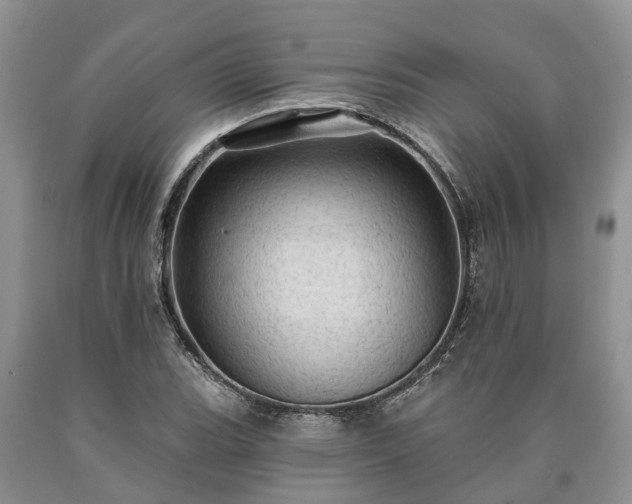 X0000090611119200707241100