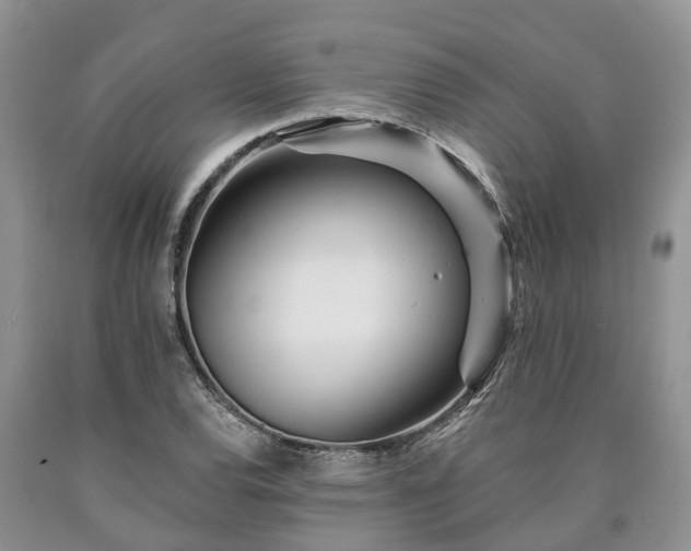 X0000090611120200707241100