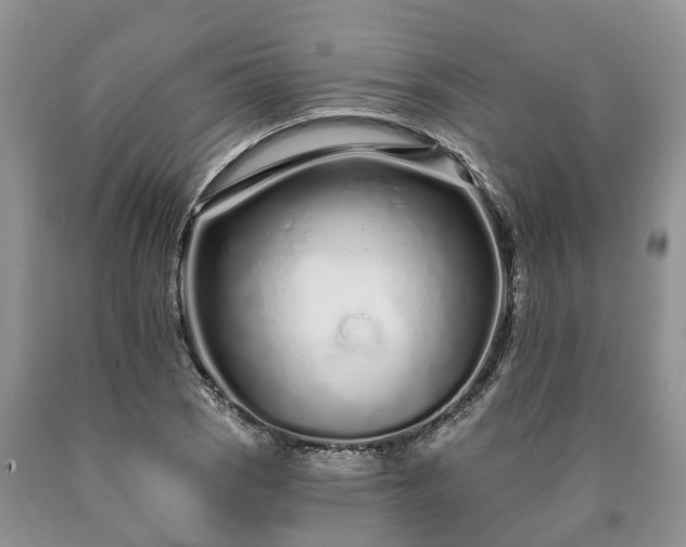 X0000090611121200707241100