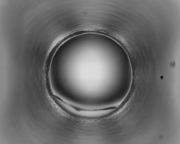 X0000090611122200707241100