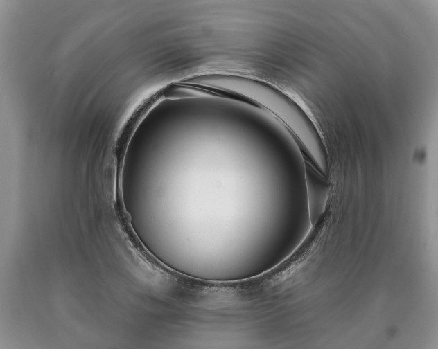 X0000090611123200707241100