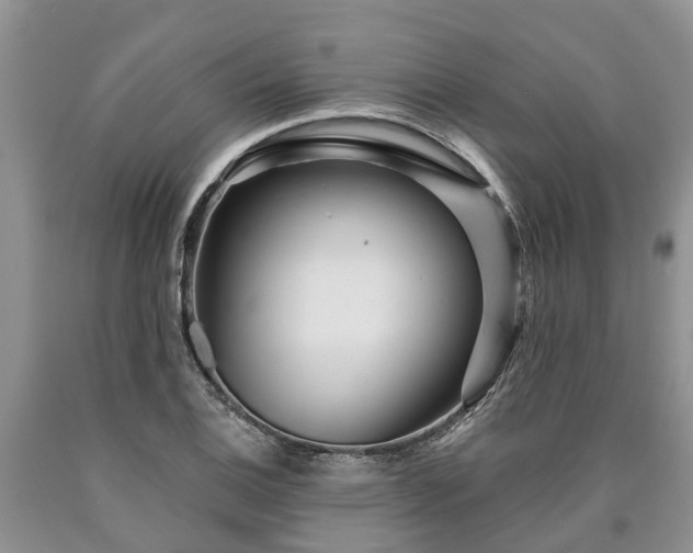 X0000090611124200707241100