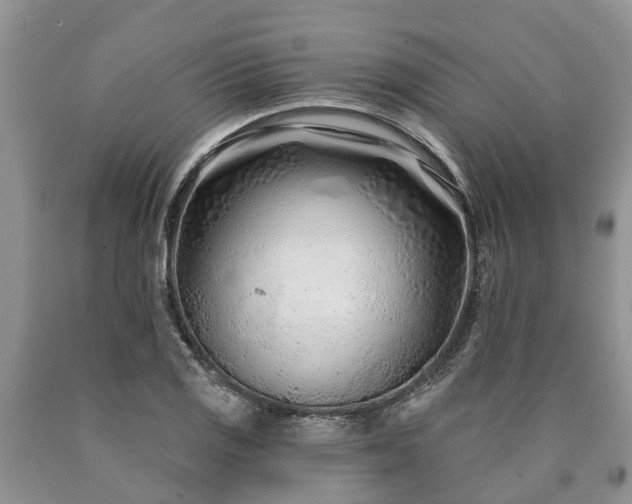 X0000090611125200707241100