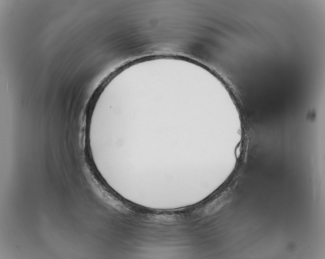 X0000090611126200707241100