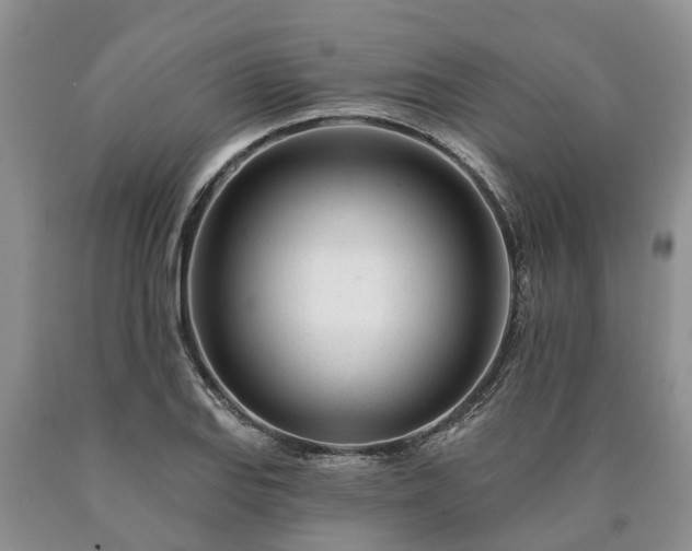 X0000090611127200707241101