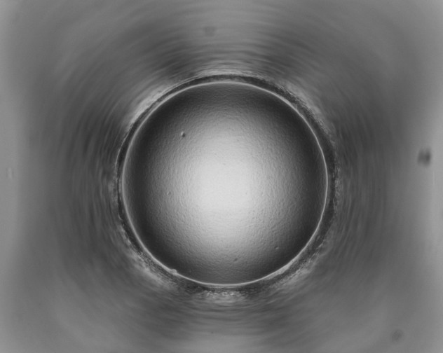 X0000090611129200707241101