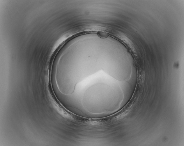 X0000090611130200707241101