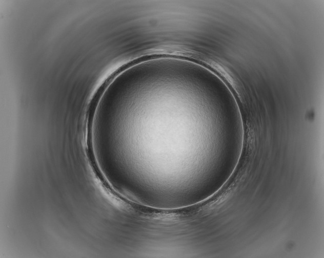 X0000090611131200707241101