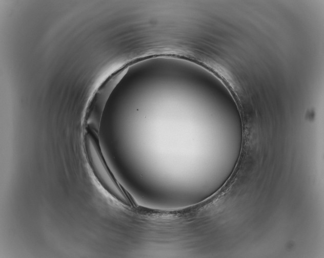 X0000090611135200707241101