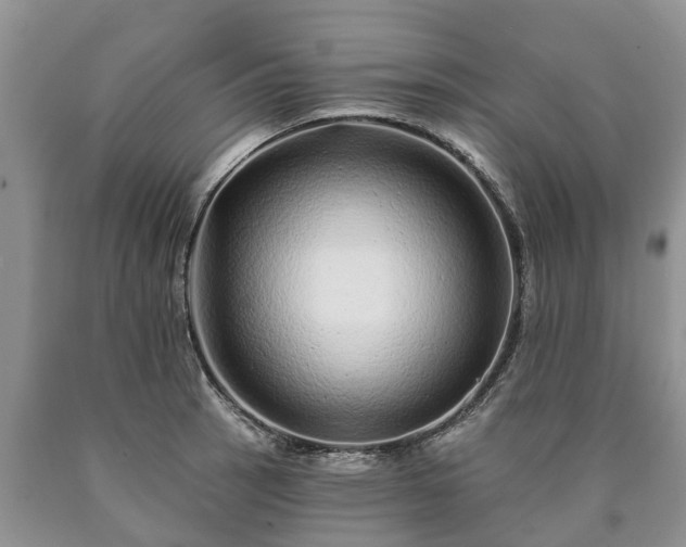 X0000090611137200707241101