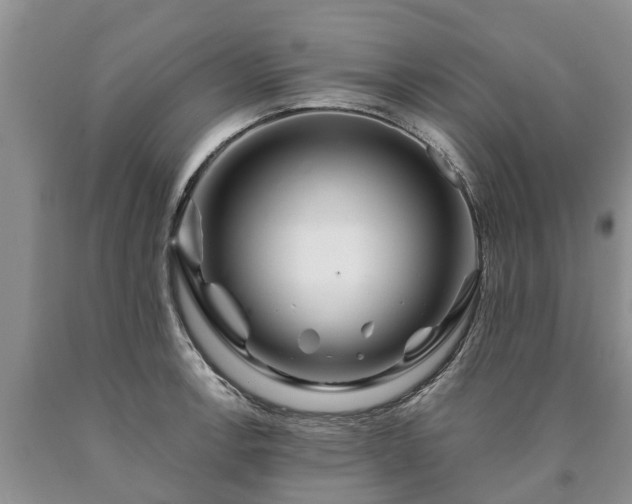 X0000090611138200707241101