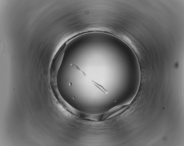 X0000090611140200707241101