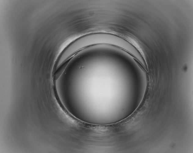 X0000090611141200707241101