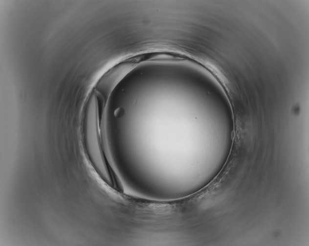 X0000090611142200707241101