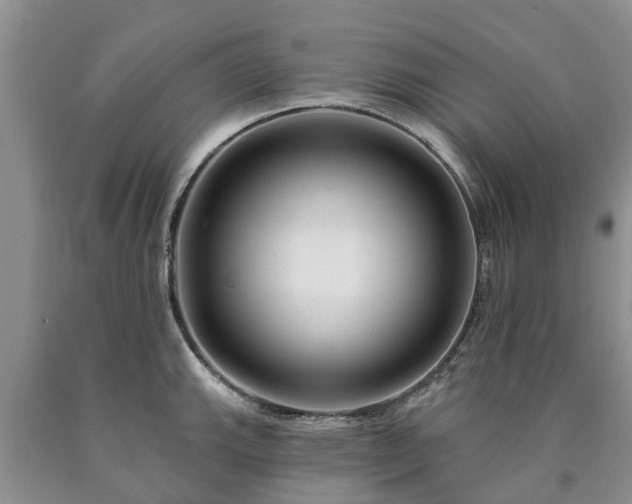 X0000090611143200707241101