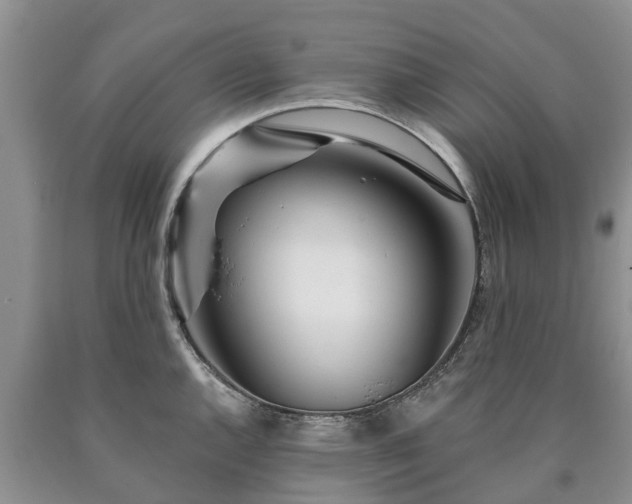 X0000090611144200707241101