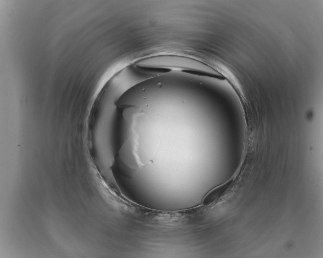 X0000090611146200707241101