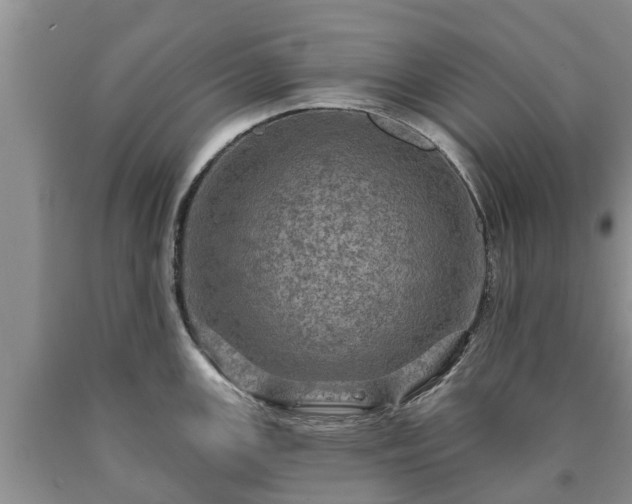 X0000090611147200707241101