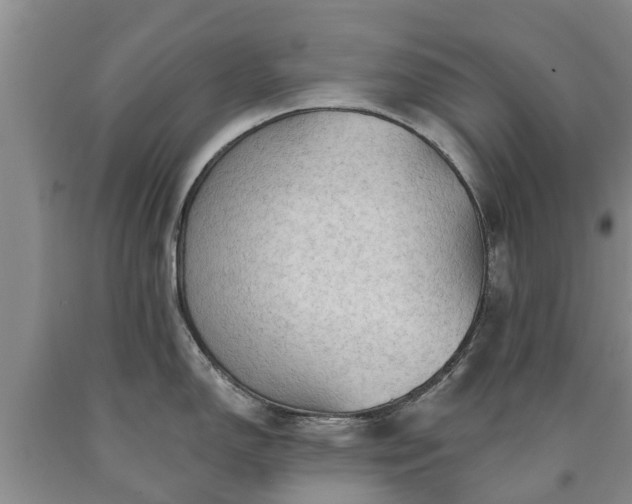 X0000090611150200707241101