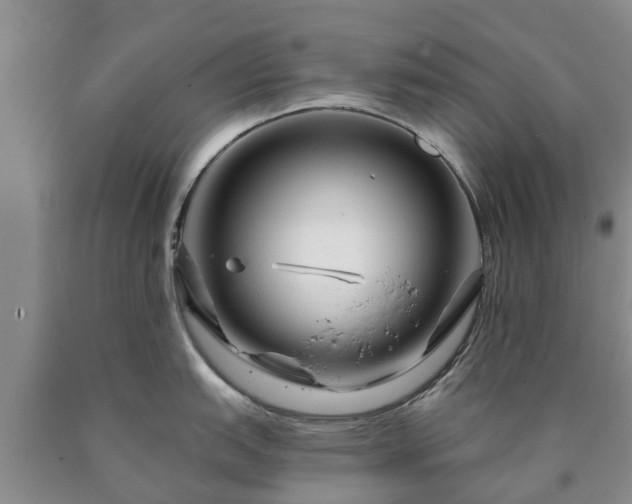 X0000090611151200707241101